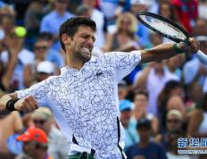 极速竞技-莱万多夫斯基连续十二场比赛得分超过问鼎冠军，塞尔维亚队挑战极限！的简单介绍